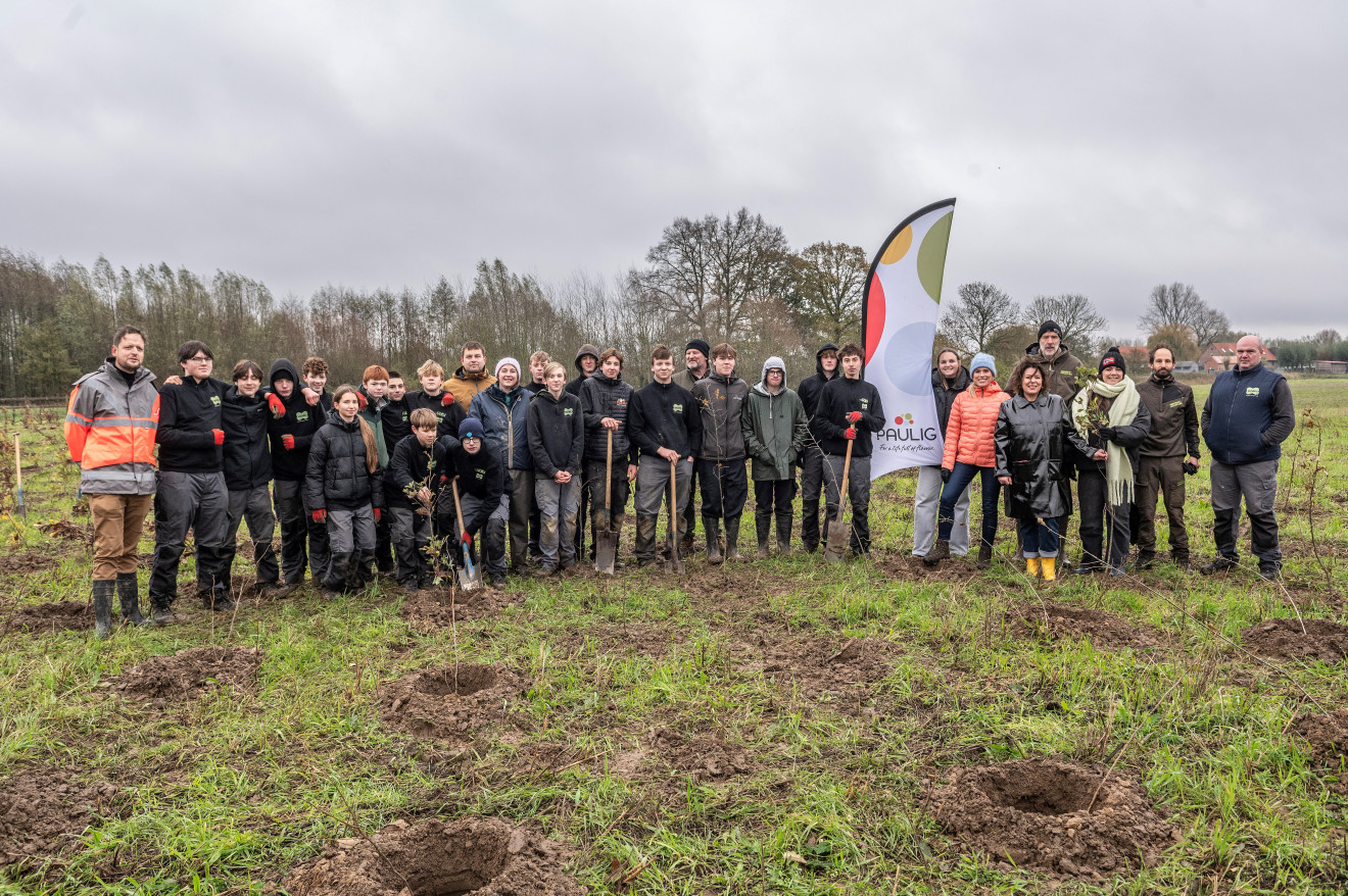 Boomplantactie Paulig Nov 2025_Stefaan Beel