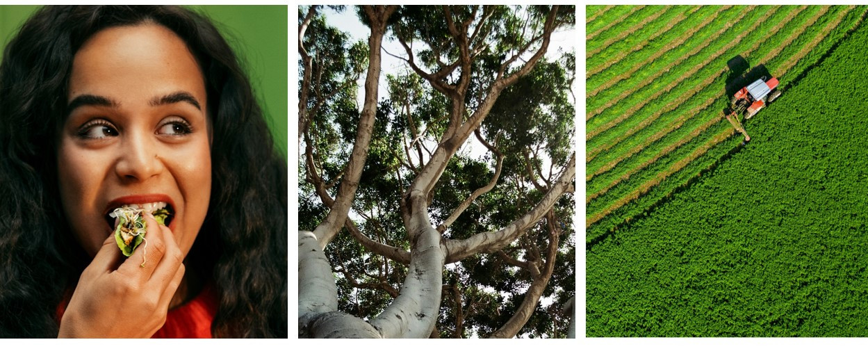 Girl taking a bite, nature images