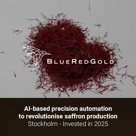 BlueRedGold